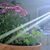 Alana Brown Weiand's profile image