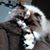 Pat Blos'e's profile image