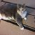 Barbara Dackweiler's profile image