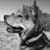 Gail Soper's profile image