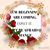 Sue Kumler's profile image