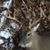 Kimberly Saurman's profile image