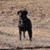 Rhonda Connerley Shumake's profile image