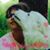 Bethany Renee Endicott Thier's profile image