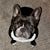 Sherry Huntzinger's profile image