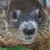 Scott L. Schable's profile image