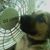 Pj Hall's profile image