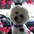 Stacey Suggs's profile image