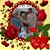 Suzanne O'Connell's profile image