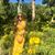 Jessica Lynn's profile image
