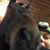 Becky Ruemmler Medeiros's profile image