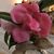 Barbara Inabinett's profile image