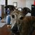 Julie Youngberg Nelson's profile image