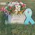 Karen Schutt's profile image
