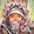 Jason Freeman's profile image