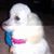 Pat Anderson's profile image