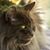 Nadine Bozzi's profile image