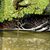 Terri Creviston's profile image
