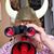 Vikki Gill-Board's profile image