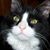 Donna Johnson's profile image