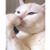 Daniel Hill's profile image