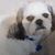 Brenda Phillips's profile image