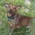 Stephanie Jaquay's profile image