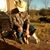 Mike Goforth's profile image