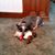 Vicki Ferrusi's profile image