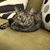 Pamela K Parrish's profile image