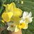 Geraldine Gilbert's profile image