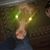 Douglas J. Lawson's profile image