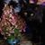 Carol Bos's profile image