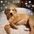 Corrina Young's profile image
