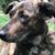 Michelle Moler's profile image
