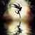Stacey Holmes's profile image