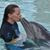 Astri Sherman's profile image