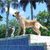 Gail Policella's profile image