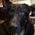 Sherry Rush's profile image