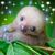 Tonia Firey Turner's profile image