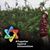 Ariel Etehad's profile image