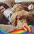 Gillian Herald Friedman's profile image