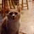 Donna Ballard's profile image