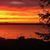 Julie Maxon's profile image