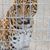 Andy Dennis-stanger's profile image