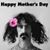 Sandy Showalter Dewrock's profile image