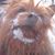 Nina Mac Iver Andry's profile image