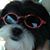 Linda-May Hartsfield's profile image