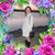Anita Di Giallonardo's profile image