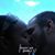 Shareena M Jones's profile image